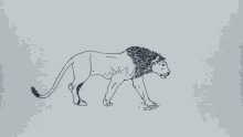 Gif animé lion roi